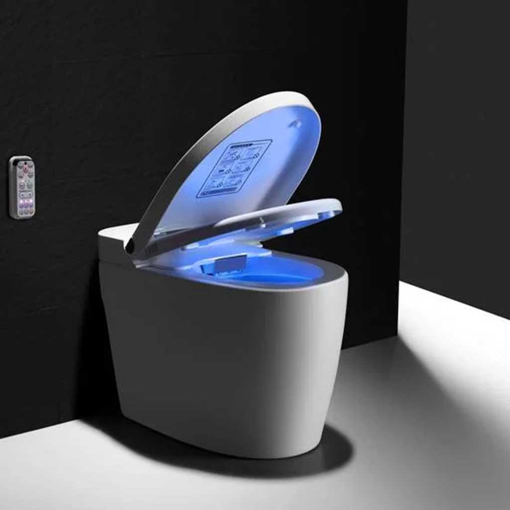 توالت فرنگی هوشمند